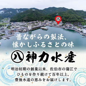 魚フライセット(8P・3種以上) 簡単 調理 フライ あじ アジフライ かます きびなご いか 太刀魚 しいら うるめいわし さば 海鮮 冷凍 詰め合わせ 大分県 佐伯市【DF05】【(株)神力水産】