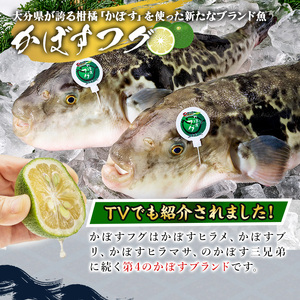 かぼすふぐセット(2-3人前)ふぐ フグ あら アラ 鍋用 刺身 皮 ひれ 薬味付き カボス【GP007】【高瀬水産】