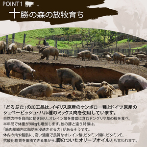 十勝幕別産ブランド放牧豚［どろぶた］豚丼ジンギスカンセット【 北海道 豚肉 味付き惣菜 おかず 】 