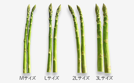 十勝幕別町産 グリーンアスパラ2kg 極太L～3L混合［山田敏明牧場］【2026年5月出荷開始】  北海道 野菜 アスパラガス
