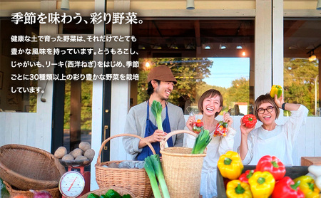 小笠原農園の有機野菜 4種詰合せ（とうや1kg・にんじん1kg・玉ねぎ1kg・リーキ1kg）北海道 十勝 幕別《2026年秋出荷先行予約》【 野菜 芋 じゃがいも とうや アロマレッド 人参 たまねぎ ネギ 】