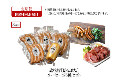 十勝幕別の定期便 ブランド放牧豚［どろぶた］堪能 食べ比べ 4回お届け セット　しゃぶしゃぶ ハンバーグ ソーセージ ジンギスカン