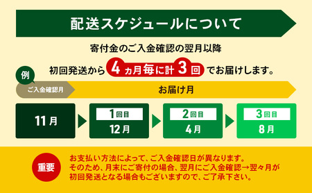 定期便 4ヵ月毎 全3回 よつ葉 「北海道 十勝シュレッドチーズ[要加熱]」2kg【 よつ葉 美味しい チーズ グラタン ピザ 大容量 業務用 北海道 十勝 幕別 】