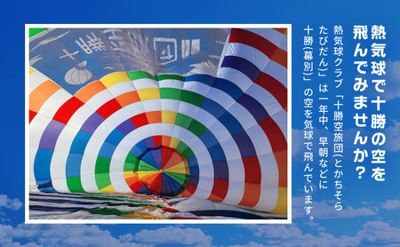 北海道 十勝 熱気球 搭乗体験チケット 2名様 フリーフライト