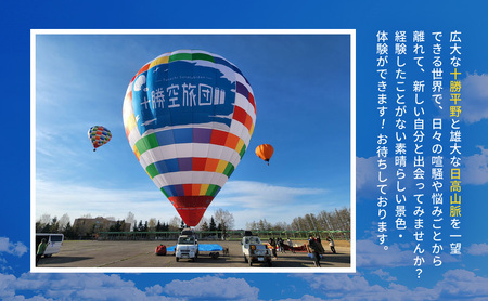 北海道 十勝 熱気球 搭乗体験チケット 5名様 フリーフライト