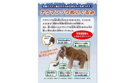 [北海道幕別町]学芸員監修＆子どもたちと作った！忠類ナウマンゾウぬいぐるみ1体（小中学生制作のオリジナル学びの下げ札付き）【 ぬいぐるみ おもちゃ ふわふわ もこもこ 北海道 幕別 】