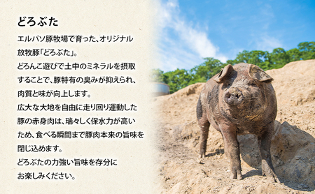 北海道 十勝 幕別のブランド放牧豚 食べ比べ定期便 [ロース/全3回] マンガリッツァ豚・どろぶた・遊ぶた【 豚 豚肉 ブランド 放牧 しゃぶしゃぶ 焼肉 厚切り スライス ロース バラ 冷凍 モモ ロース 詰合せ 幕別 】