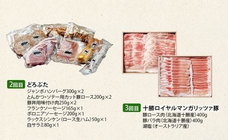 北海道 十勝 幕別のブランド放牧豚 食べ比べ定期便 [バラエティ/全3回] 遊ぶた・どろぶた・マンガリッツァ豚【 豚 豚肉 ブランド 放牧 しゃぶしゃぶ 焼肉 ハンバーグ ソーセージ 厚切り スライス ロース バラ 冷凍 モモ ロース 詰合せ 幕別 】