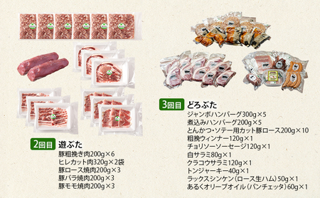 北海道 十勝 幕別のブランド放牧豚 食べ比べ定期便 [豪華満喫/全3回]マンガリッツァ豚・遊ぶた・どろぶた【 豚 豚肉 ブランド 放牧 しゃぶしゃぶ 焼肉 ハンバーグ ソーセージ 厚切り スライス ロース バラ 冷凍 モモ ロース 詰合せ 幕別 】