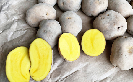 先行予約/2026年秋発送 北海道 十勝 幕別産 じゃがいも インカのめざめ 約5kg【横山農園】  野菜 根菜 フライドポテト ポテトチップス 変色しにくい 煮崩れしにくい 黄金色 北海道のジャガイモ 