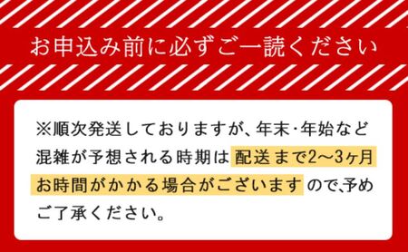 十勝の無添加豚 ベーコンブロック600g