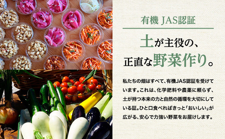 小笠原農園の有機とうもろこし「ミルキースイーツ」10本【北海道十勝幕別】《2026年8月出荷開始先行予約》【 スイートコーン コーン とうもろこし とうきび 黄色 野菜 夏 北海道 幕別町 】 
