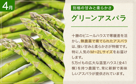 十勝幕別の定期便 お楽しみコース年6回お届け 加工食品 乳製品 チーズ 野菜 とうもろこし じゃがいも 