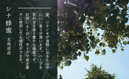 【純粋】北海道産はちみつ1.5kg(蜂蜜500g×3種) アカシア・オオハンゴウソウ・シナ