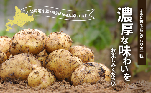 十勝 幕別町産 じゃがいも10kg (デストロイヤー) 渡邉農場 [2026年11月出荷開始] 【 野菜 いも イモ 芋 じゃがいも ジャガイモ 北海道 十勝 幕別 】