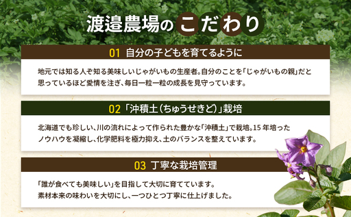 十勝 幕別町産 じゃがいも10kg (デストロイヤー) 渡邉農場 [2026年11月出荷開始] 【 野菜 いも イモ 芋 じゃがいも ジャガイモ 北海道 十勝 幕別 】