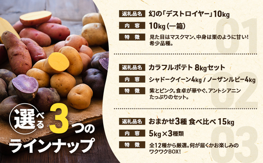 十勝 幕別町産 じゃがいも10kg (デストロイヤー) 渡邉農場 [2026年11月出荷開始] 【 野菜 いも イモ 芋 じゃがいも ジャガイモ 北海道 十勝 幕別 】