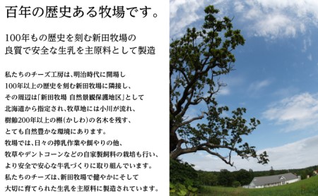 NEEDSオリジナル お酒のおつまみにおすすめ4種のチーズセット【十勝幕別町】