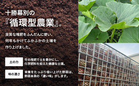 【2026年発送先行予約】十勝幕別町産 かぼちゃ2個・玉ねぎ4kg・じゃがいも2kg 計約10kg［山田敏明牧場］ 野菜 たまねぎ セット 詰合せ 旬の野菜 産地直送 北海道産 