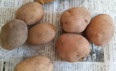 北海道十勝 ミナイカシのワイルドジャガイモおまかせ2種 計10kg 【有機JAS】自然栽培 じゃがいも