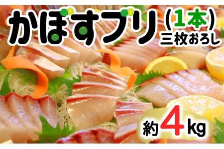 【年内・年末年始発送可】こんなブリ食べたことない！？「うすき産かぼすブリ」約４ｋｇ（１本）