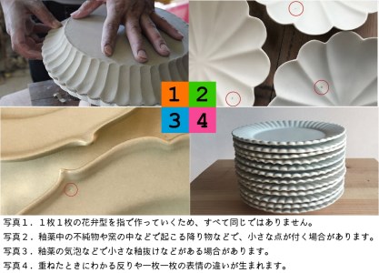 〔臼杵焼〕稜花蓮弁皿　白　1枚