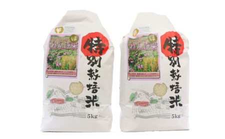 【令和5年度産】化学肥料などは一切不使用！こだわり農法の「れんげ米【精米】」（10kg）
