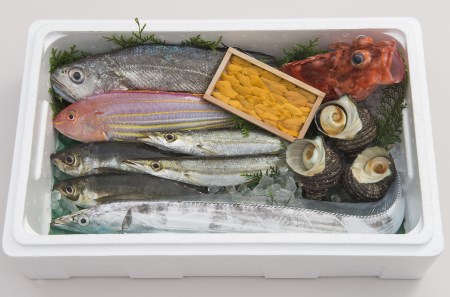 うすき豊後水道物語　豊後水道うすき地魚詰め合わせA