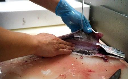 うすき豊後水道物語　豊後水道うすき地魚詰め合わせA