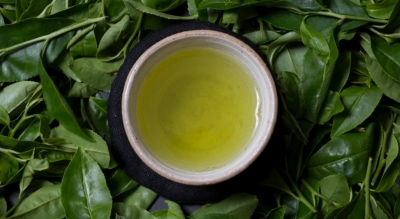 さっぱりとした爽やかな喉ごしの有機緑茶♪髙橋製茶の「みのりの茶」ギフトセットＡ