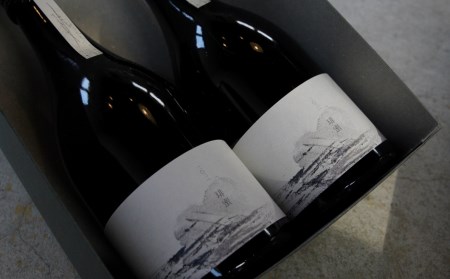 スペシャルティーコーヒー専門店 suzunari coffeeオリジナルカフェオレベース（500ml×2）