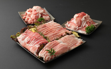 【3ヶ月定期便：2026年1月配送開始】小分けで便利♪大分県産 豚5種詰め合わせ（約2kg×3回）