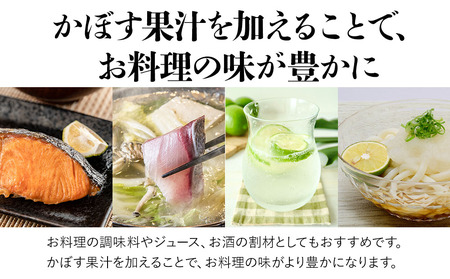 天然かぼす果汁 1L×1本 かぼす果汁100％ カボス果汁 ポン酢 ぽん酢 調味料 ストレート 酢 果汁 大分県産 九州産 津久見市 熨斗対応可