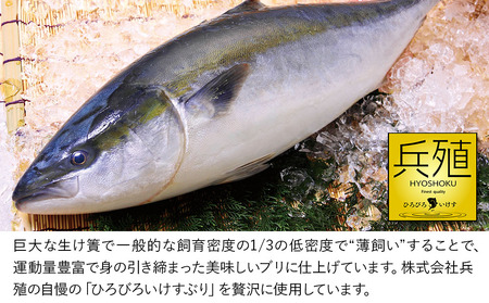 ひろびろいけすぶり ブリ丼セット 120g×5 | 津久見市