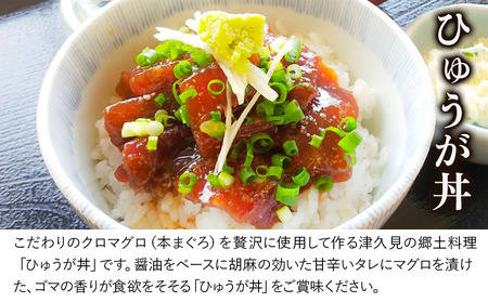 豊後 まぐろ ヨコヅーナ ひゅうが丼 セット 120g×5 | まぐろ 漬け丼 津久見市