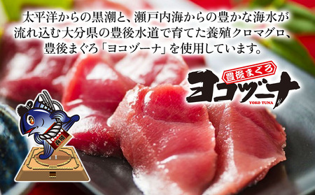 豊後 まぐろ ヨコヅーナ ひゅうが丼 セット 120g×5 | まぐろ 漬け丼 津久見市