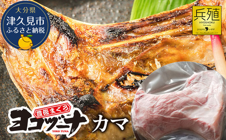 豊後 まぐろ ヨコヅーナ カマ | 鮪 津久見市