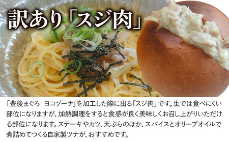 豊後 まぐろ ヨコヅーナ 訳あり スジ肉 1kg | 鮪 津久見市