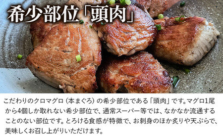 豊後まぐろ ヨコヅーナ 頭肉 1尾分 (4切) | 津久見市