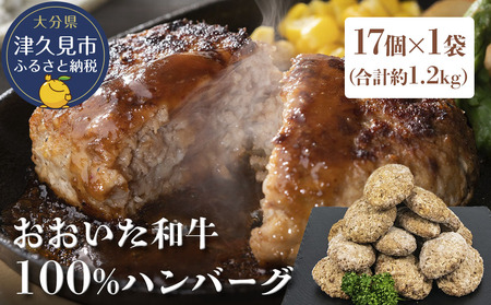 おおいた和牛100% ハンバーグ 約70g×17個 合計約1.2kg | 津久見市