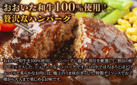おおいた和牛100% デミハンバーグ 約150g×10個 合計約1.5kg | 津久見市