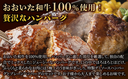 おおいた和牛100% デミ＆プレーンハンバーグ 24個 合計約2.5kg | 津久見市