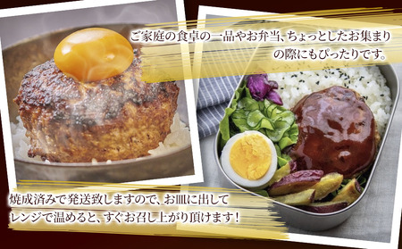 おおいた和牛100% デミ＆プレーンハンバーグ 24個 合計約2.5kg | 津久見市