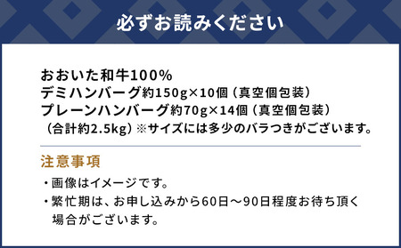おおいた和牛100% デミ＆プレーンハンバーグ 24個 合計約2.5kg | 津久見市