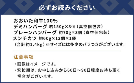 おおいた和牛100% ハンバーグ＆メンチカツセット 合計約1.4kg | 津久見市