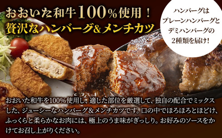 おおいた和牛100% ハンバーグ＆メンチカツセット 合計約2.8kg | 津久見市