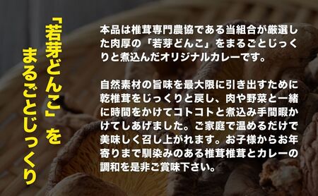 豊後きのこカレー×6 | 津久見市