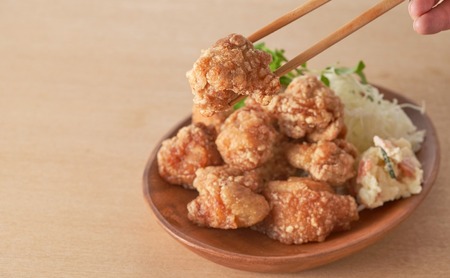 大分名物からあげ 塩からあげ×8袋 | 津久見市