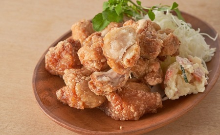 大分名物からあげ 塩からあげ×8袋 | 津久見市