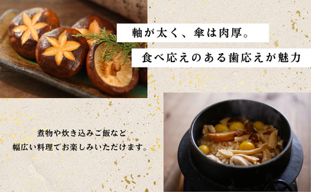 大分県産 しいたけ 津久見で育てた肉厚乾燥しいたけ 60g×3袋